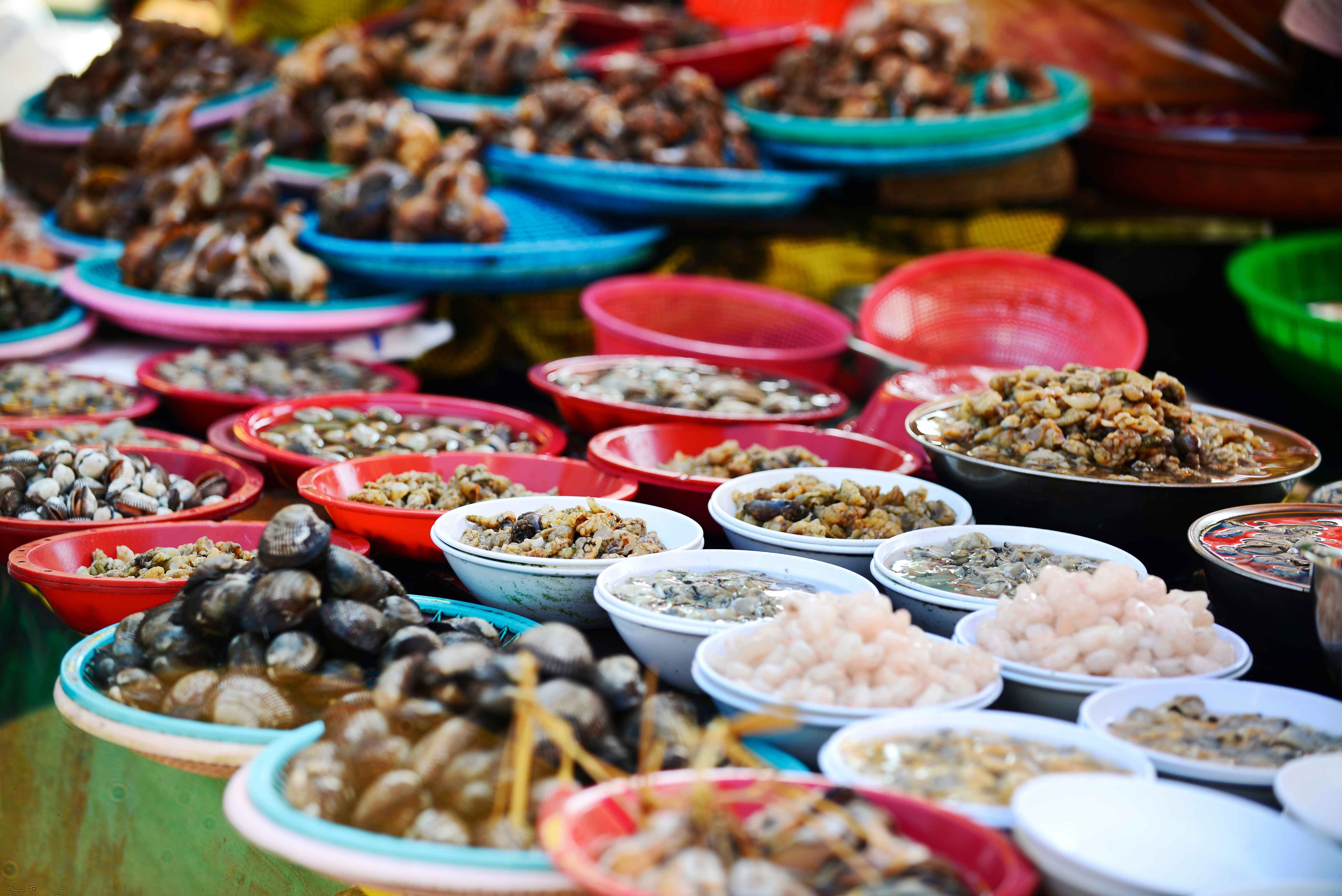 Busan City Day Tour 4